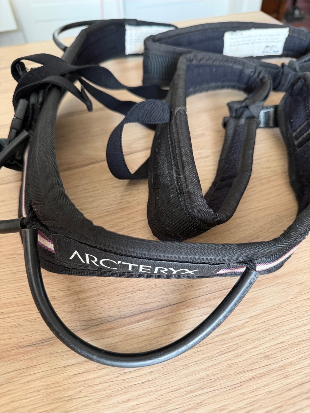 Arc'teryx Black Climbing Harness with Subtle Purple Accents